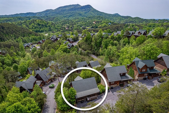 2040 Cougar Crossing Way, Sevierville, TN 37862 - aerial view with a forest view and a mountain view