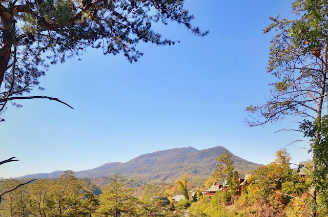 2040 Cougar Crossing Way, Sevierville, TN 37862 - mountain view