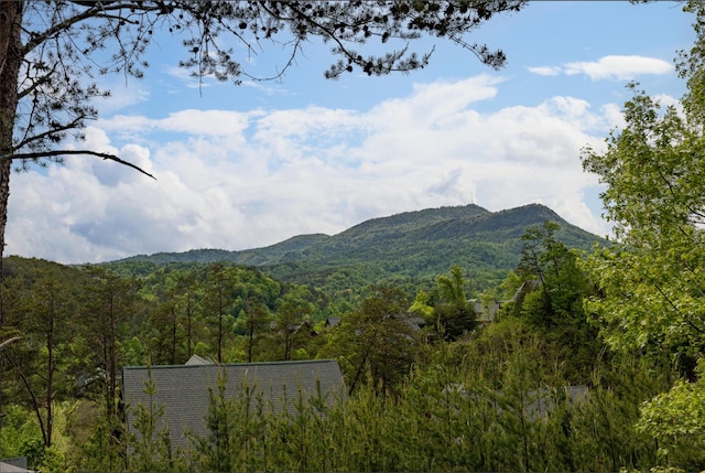 2040 Cougar Crossing Way, Sevierville, TN 37862 - view of mountain feature featuring a view of trees
