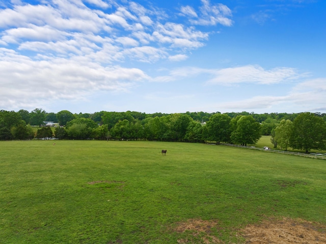 1439 Woods Ridge Rd, Dandridge, TN 37725 - view of grassy yard with a rural view
