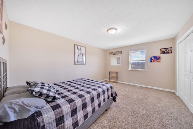 1439 Woods Ridge Rd, Dandridge, TN 37725 - bedroom featuring a closet, carpet flooring, and a textured ceiling