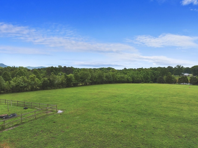 1439 Woods Ridge Rd, Dandridge, TN 37725 - view of yard with a view of rural / pastoral area and a view of trees