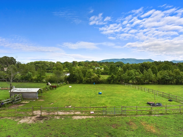 1439 Woods Ridge Rd, Dandridge, TN 37725 - surrounding community with a view of rural / pastoral area, a lawn, and a mountain view