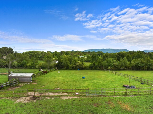 1439 Woods Ridge Rd, Dandridge, TN 37725 - surrounding community with a view of rural / pastoral area, a lawn, and a mountain view