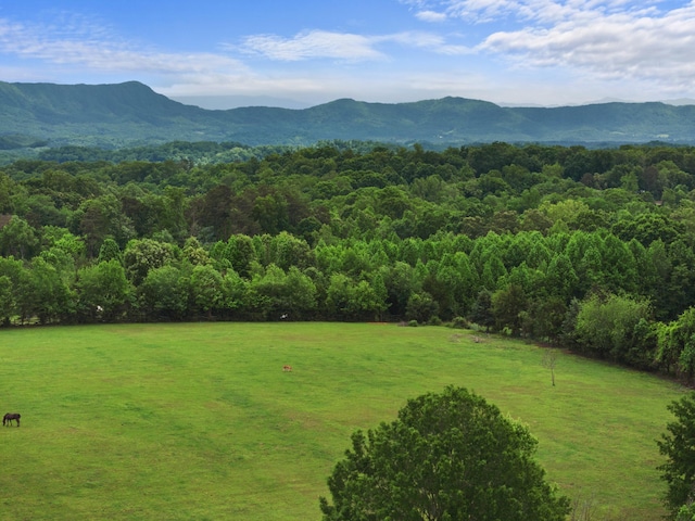 1439 Woods Ridge Rd, Dandridge, TN 37725 - view of mountain backdrop featuring a forest