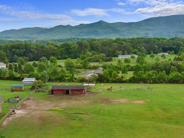 1439 Woods Ridge Rd, Dandridge, TN 37725 - view of mountain background