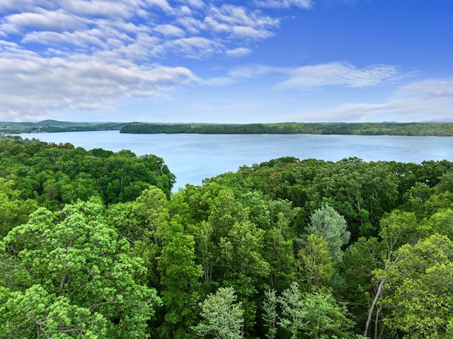1439 Woods Ridge Rd, Dandridge, TN 37725 - water view featuring a heavily wooded area
