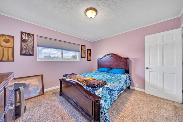 1439 Woods Ridge Rd, Dandridge, TN 37725 - bedroom featuring ornamental molding, carpet floors, and a textured ceiling