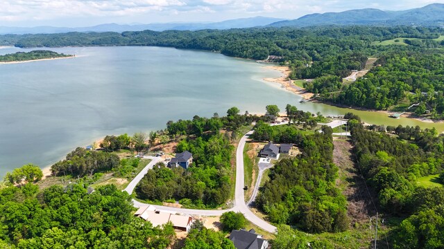 LOT35 Quiet Cove Way, Dandridge, TN 37725