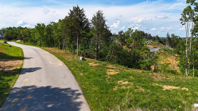 LOT35 Quiet Cove Way, Dandridge, TN 37725