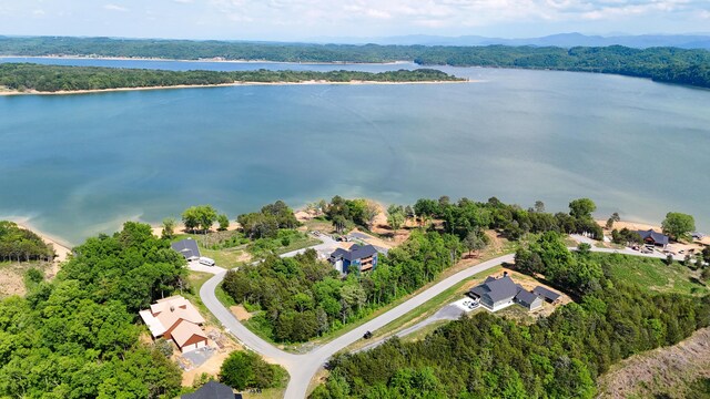 LOT35 Quiet Cove Way, Dandridge, TN 37725