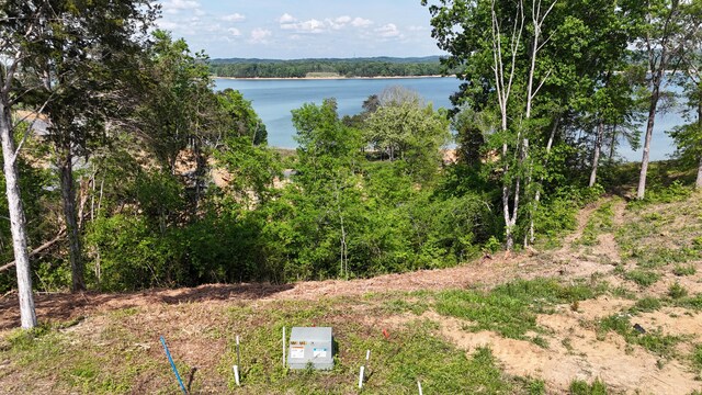 LOT35 Quiet Cove Way, Dandridge, TN 37725