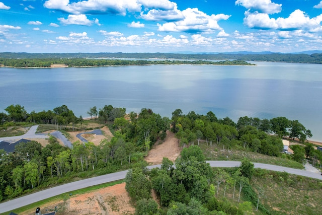 LOT35 Quiet Cove Way, Dandridge, TN 37725