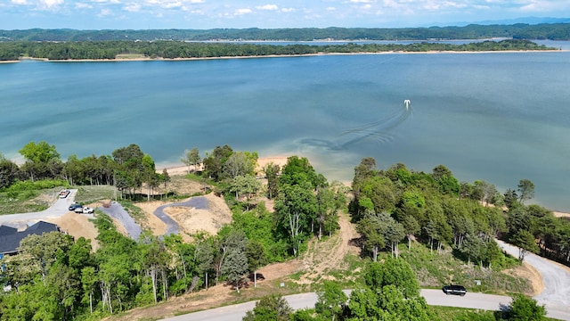 LOT35 Quiet Cove Way, Dandridge, TN 37725