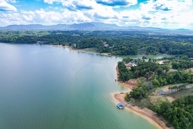 LOT35 Quiet Cove Way, Dandridge, TN 37725