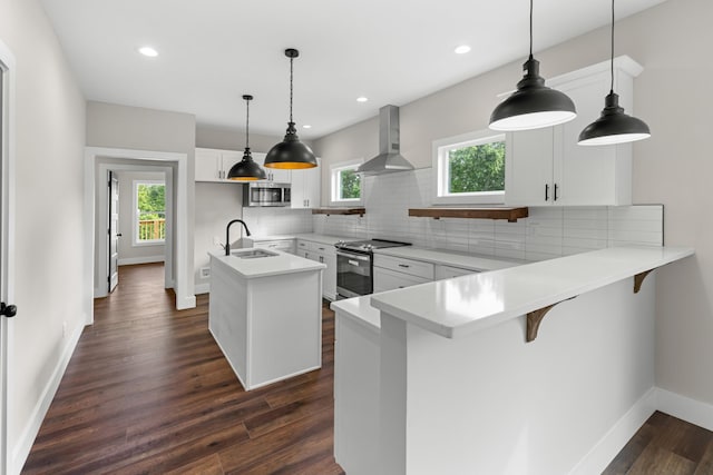 274A W Main St, Dandridge, TN 37725 - kitchen with wall chimney range hood, appliances with stainless steel finishes, a sink, backsplash, and a peninsula