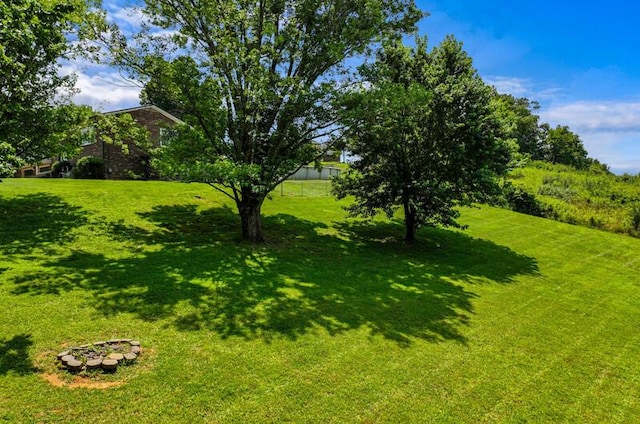 591 Phyllis Cir, Talbott, TN 37877 - view of grassy yard