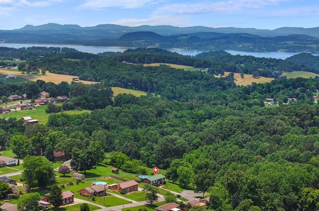591 Phyllis Cir, Talbott, TN 37877 - aerial view of a water and mountain view and a heavily wooded area