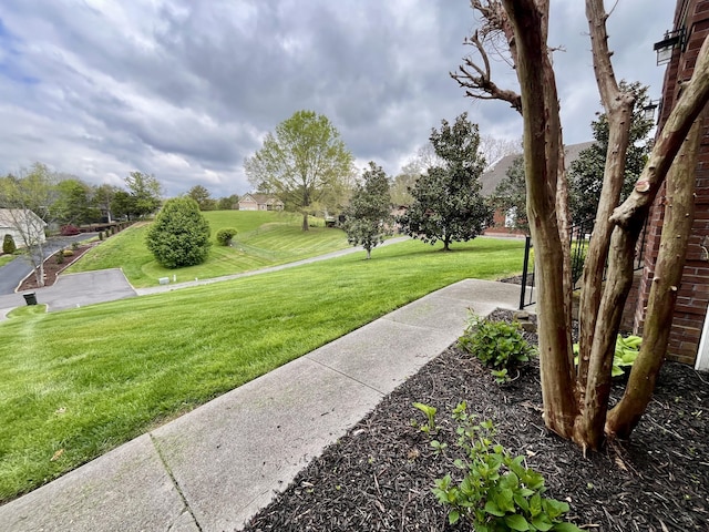 905 Glenda Ln, Sevierville, TN 37862 - photo 41