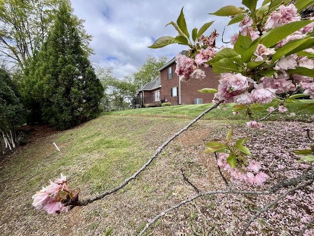 905 Glenda Ln, Sevierville, TN 37862 - photo 36