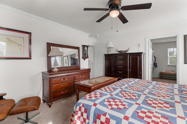 2909 Nicole Cir, Morristown, TN 37814 - carpeted bedroom with crown molding, ceiling fan, and a walk in closet