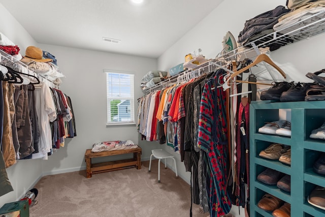 2909 Nicole Cir, Morristown, TN 37814 - walk in closet featuring carpet floors