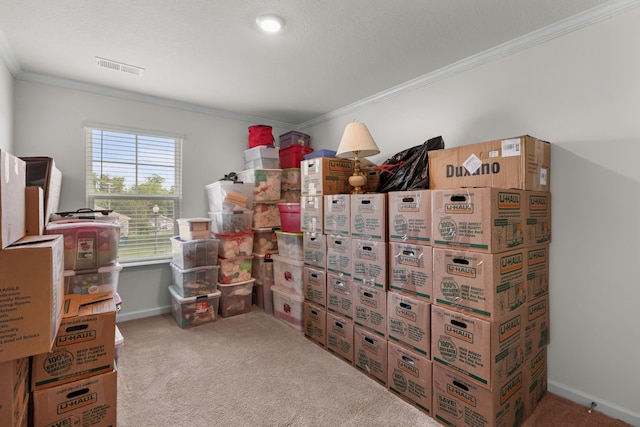 2909 Nicole Cir, Morristown, TN 37814 - view of storage