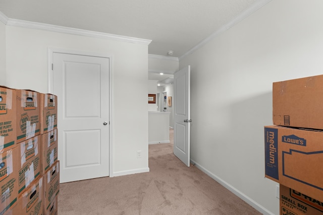 2909 Nicole Cir, Morristown, TN 37814 - bedroom featuring ornamental molding, light colored carpet, and baseboards