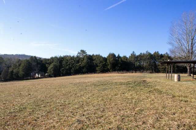 view of yard featuring a rural view