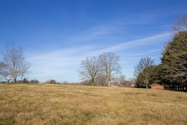 view of yard featuring a rural view