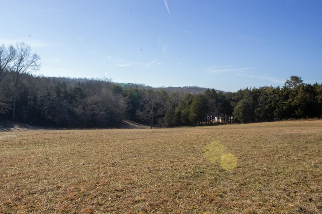 view of local wilderness with a rural view