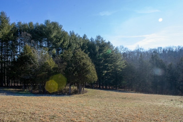 view of yard featuring a rural view