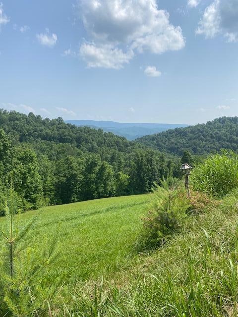 1563 Raven Hill Rd, Tazewell, TN 37879 - photo 32