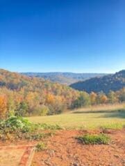 1563 Raven Hill Rd, Tazewell, TN 37879 - photo 31
