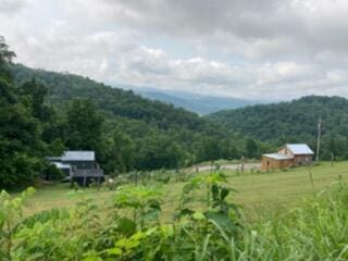 1563 Raven Hill Rd, Tazewell, TN 37879 - photo 39