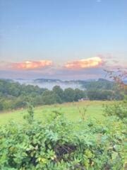 1563 Raven Hill Rd, Tazewell, TN 37879 - photo 30