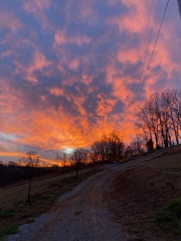 1563 Raven Hill Rd, Tazewell, TN 37879 - photo 47