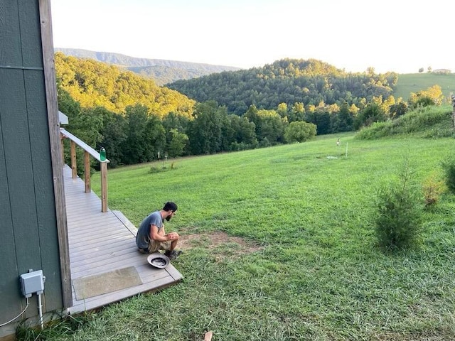 1563 Raven Hill Rd, Tazewell, TN 37879 - photo 10