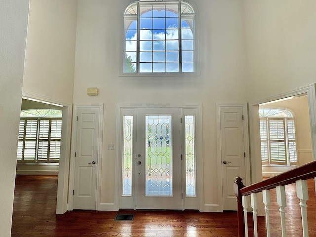 foyer featuring a high ceiling, dark hardwood / wood-style flooring, and plenty of natural light