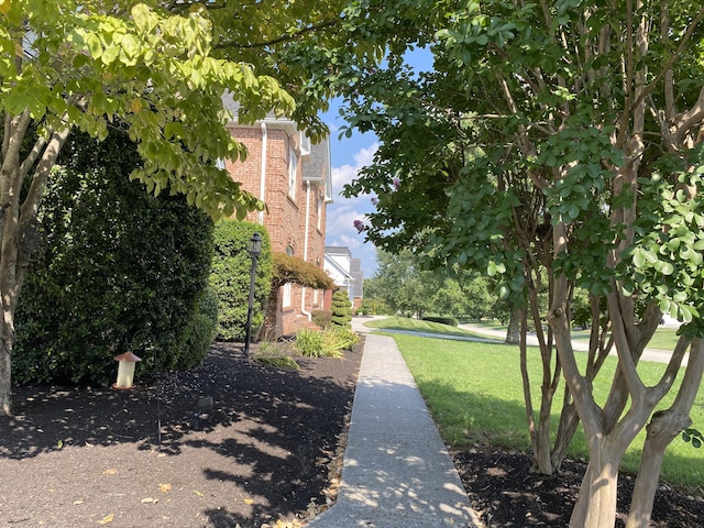 view of property's community featuring a lawn