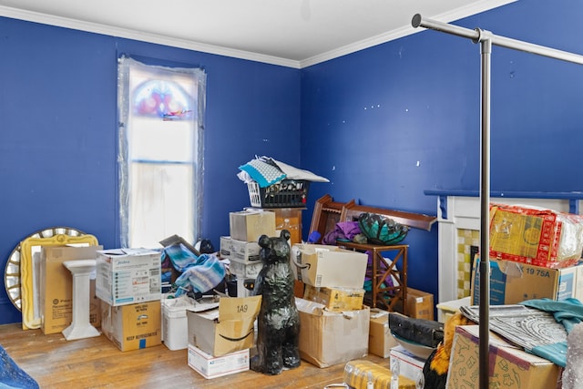 115 E Meeting St, Dandridge, TN 37725 - view of storage area