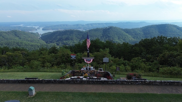 view of mountain feature featuring a water view