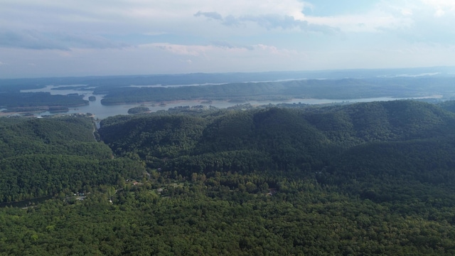 property view of mountains featuring a water view