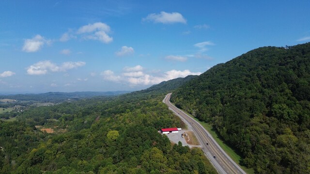 view of mountain feature