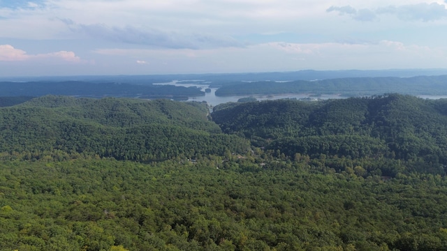 view of mountain feature with a water view