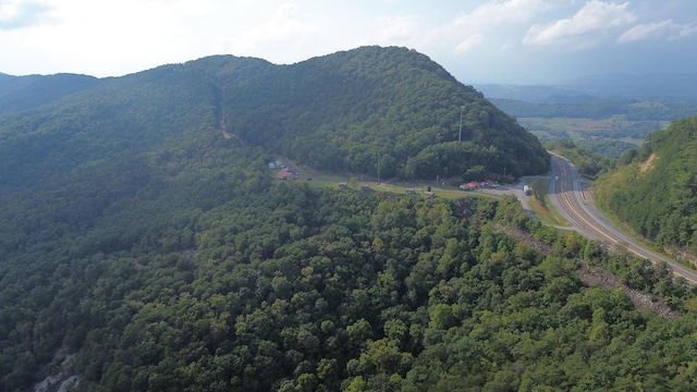 view of mountain feature