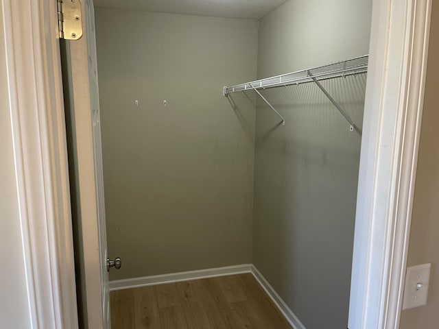 walk in closet with wood-type flooring