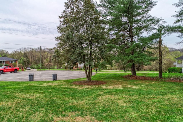 506 Viola Cir, Mount Carmel, TN 37645 - view of yard