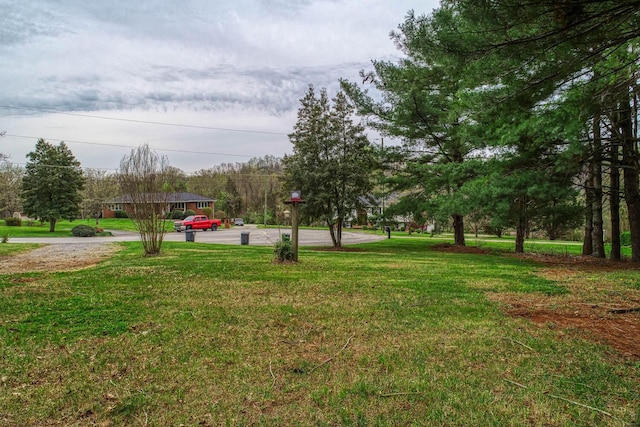 506 Viola Cir, Mount Carmel, TN 37645 - view of yard
