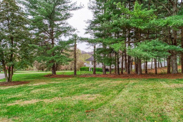 506 Viola Cir, Mount Carmel, TN 37645 - view of yard